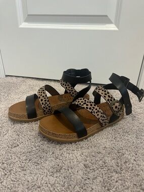 Blowfish Malibu Black & Tan Animal-Print Strappy Sandals